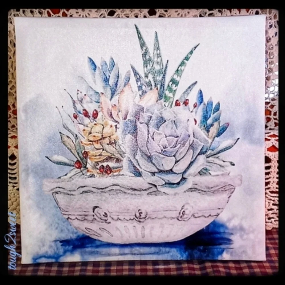 BEAUTIFUL WATERCOLOR OF A BOWL OF MIXED SUCCULANTS FRAMED ON CANVAS FRAME